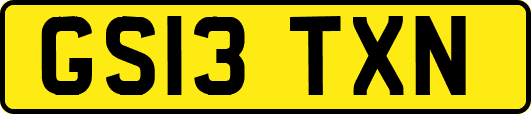 GS13TXN