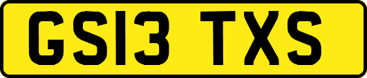 GS13TXS