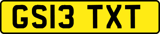 GS13TXT