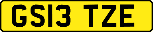 GS13TZE
