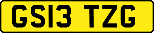 GS13TZG