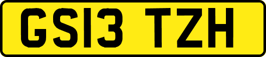 GS13TZH