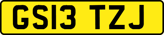 GS13TZJ