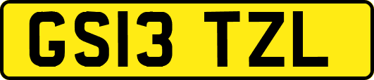 GS13TZL