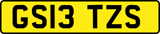 GS13TZS