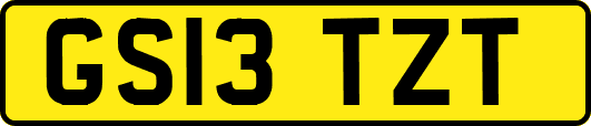 GS13TZT