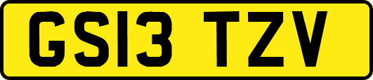 GS13TZV