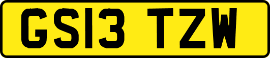 GS13TZW