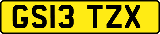 GS13TZX