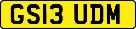 GS13UDM