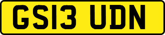 GS13UDN
