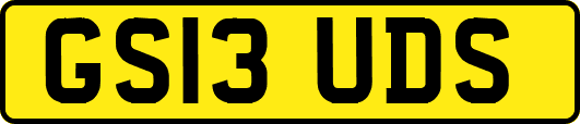 GS13UDS
