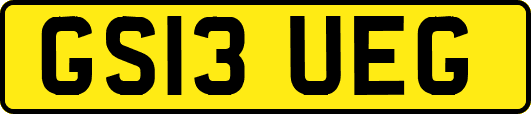 GS13UEG