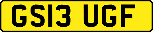 GS13UGF