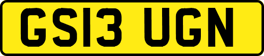 GS13UGN
