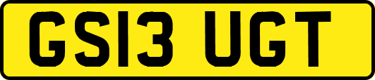 GS13UGT