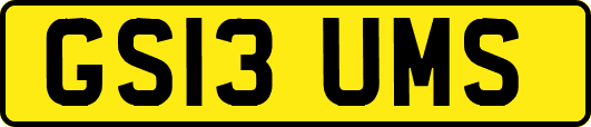 GS13UMS