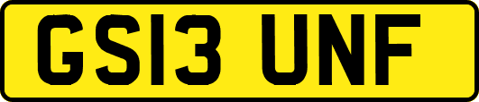 GS13UNF