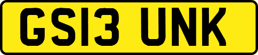 GS13UNK