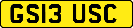 GS13USC