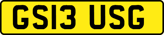 GS13USG