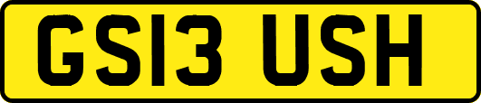 GS13USH