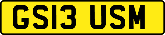 GS13USM