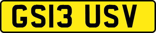 GS13USV