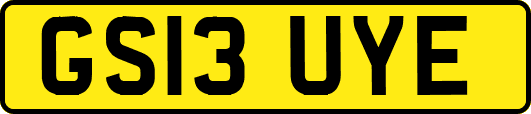 GS13UYE
