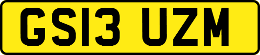 GS13UZM