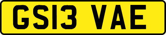GS13VAE