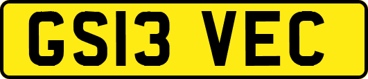 GS13VEC