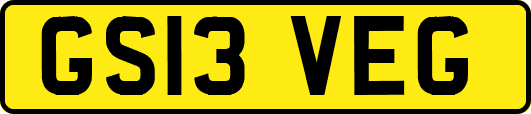 GS13VEG
