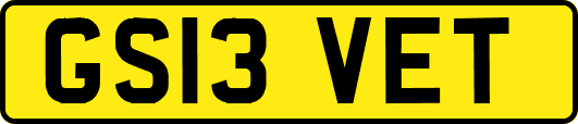 GS13VET