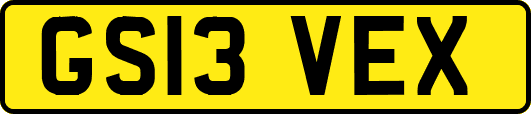 GS13VEX