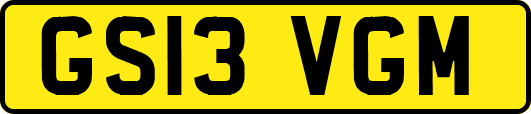 GS13VGM