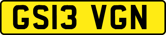GS13VGN
