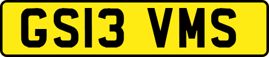 GS13VMS