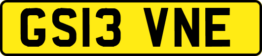 GS13VNE