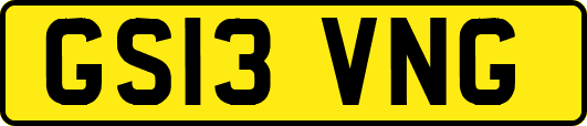 GS13VNG