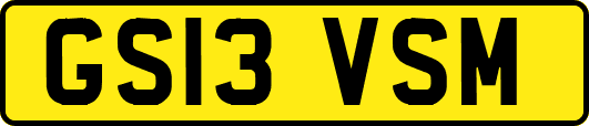 GS13VSM
