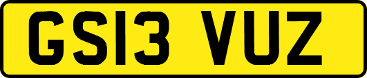 GS13VUZ