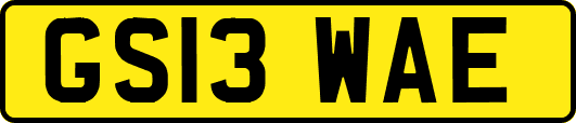 GS13WAE