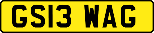 GS13WAG