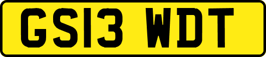 GS13WDT