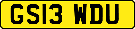 GS13WDU