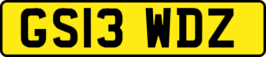 GS13WDZ