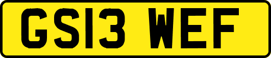GS13WEF