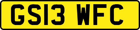 GS13WFC