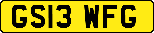 GS13WFG
